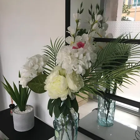 Privee Face A La Gare * Tarbes